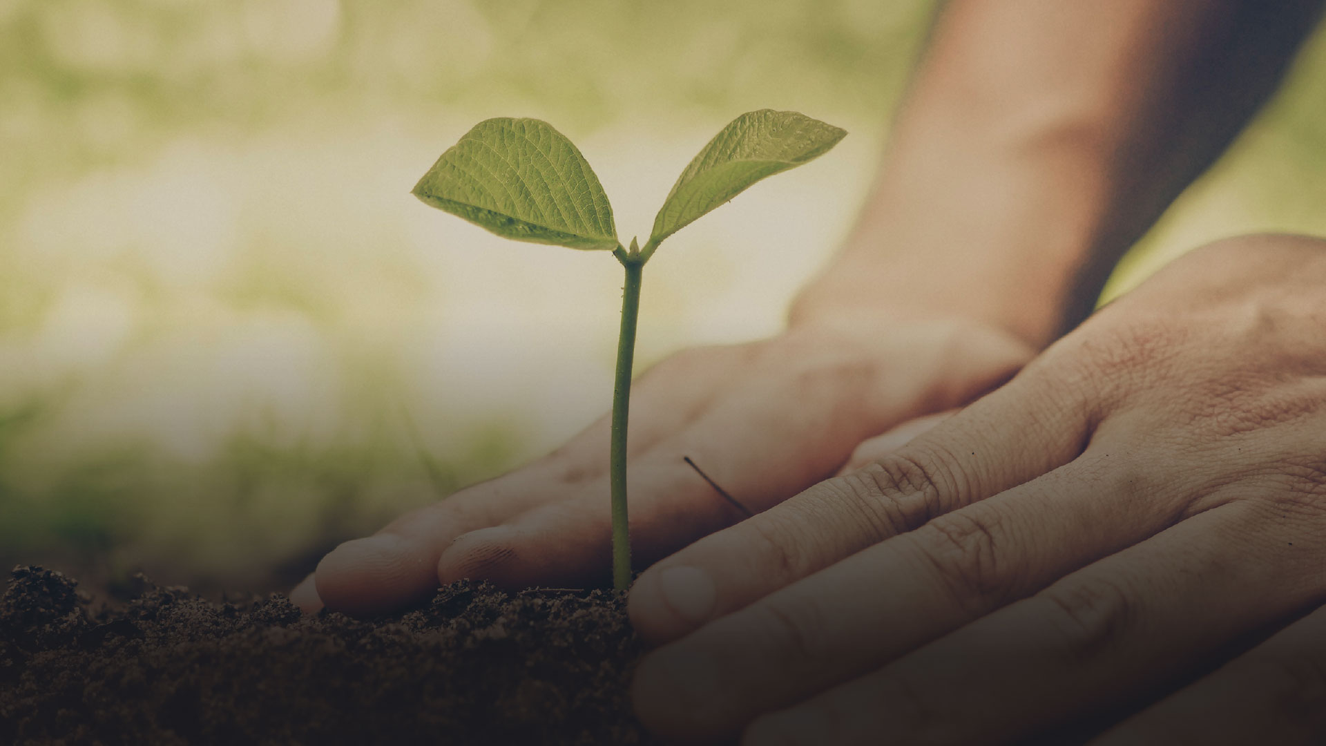  CorporateResponsibility 